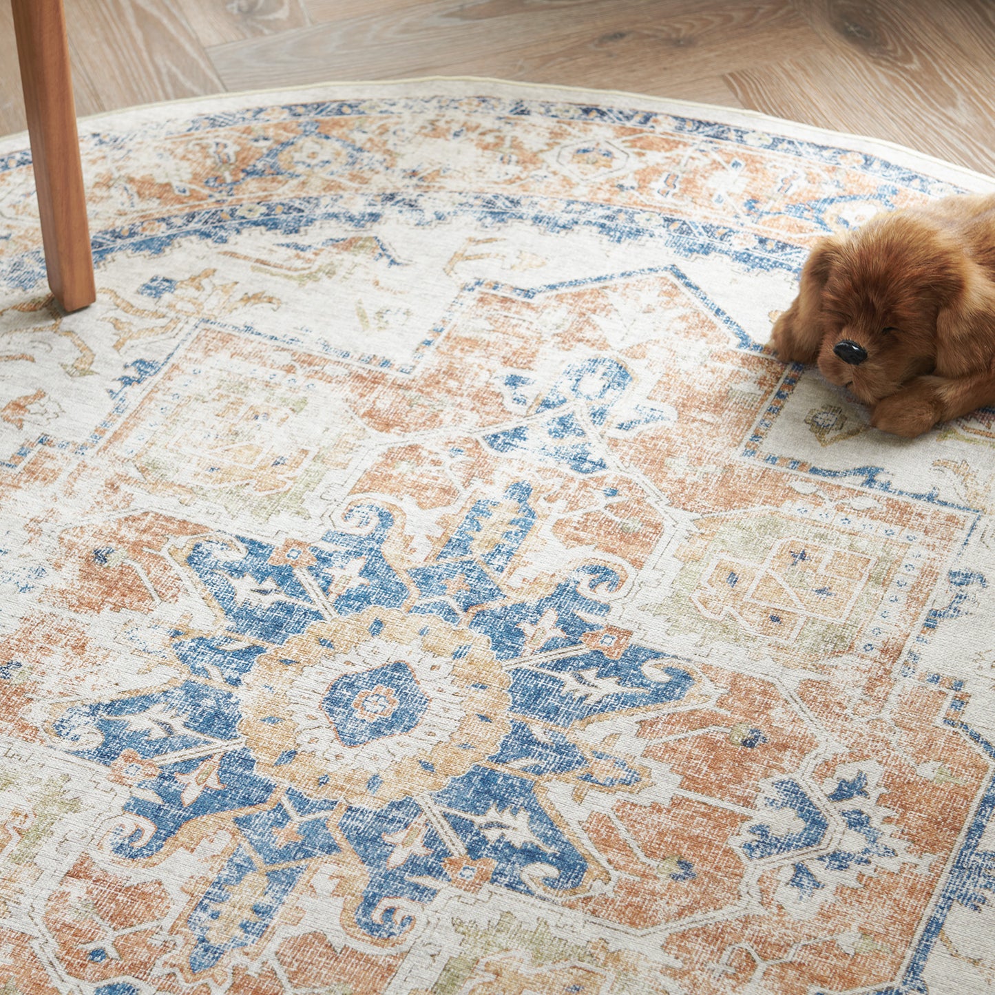 Jinchan Round Rug 5ft Indoor Area Rug Persian Rug Vintage Rug