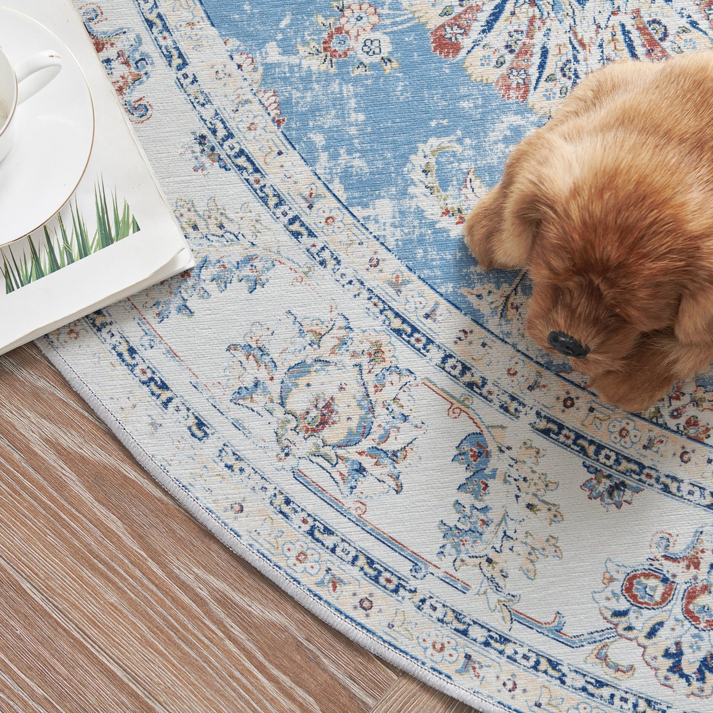 Jinchan Round Rug 5ft Area Rug Persian Rug Vintage Floor Mat Circle Rug