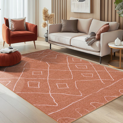 RUGKING Modern Area Rug Washable Rug Boho Carpet Non Slip Mat for Dinning Room Living Room Bedroom