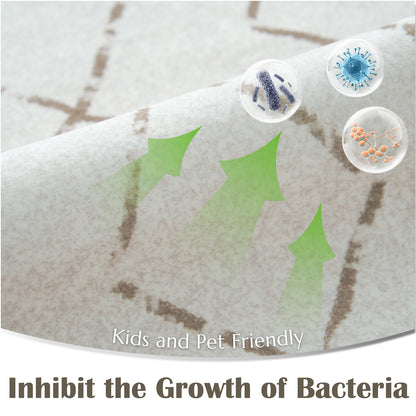 RUGKING Area Rug Washable Rug Front Door Mat Indoor Entrance Rug Boho Nursey Non Slip Carpet for Kitchen Kids Bedroom Living Room